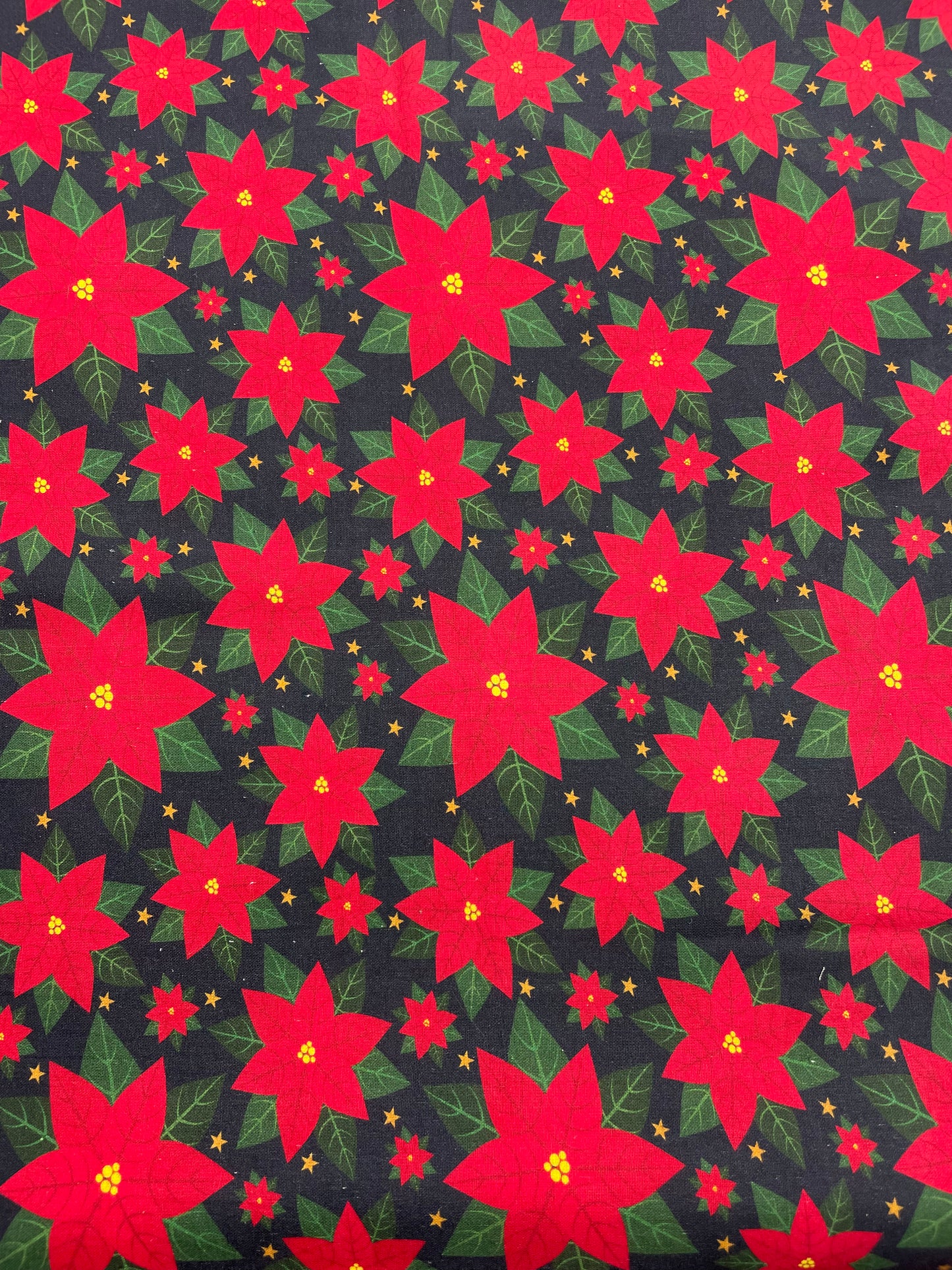 Red Poinsettias on Black